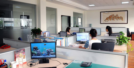 领军科技未来 计算机软硬件技术开发公司简介